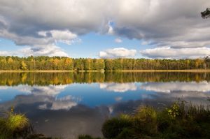 Ežerai Aplink Vilnių - Tapelių Ežeras