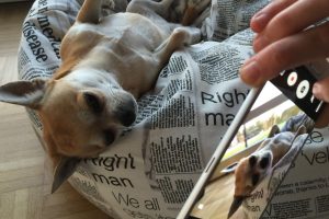 Kas yra meme? Interneto kultūros fenomenas, valdantis mūsų juoką. Kaip jis kilo?
