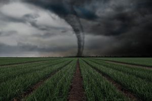 Viesulas: nuo istorinių griūčių iki ateities iššūkių. Kaip ir kur jis susiformuoja?