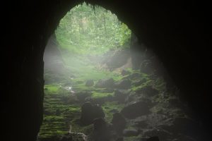 Šon Dungas (Son Doong) Vietname – urvas, turintis savo nuosavas džiungles ir debesų sistemą